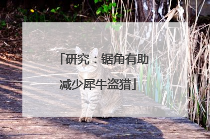 研究：锯角有助减少犀牛盗猎